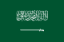 Saudi Pro League Flag