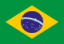 Brazil Serie A Flag