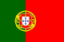 Primeira Liga Flag
