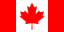 NHL Flag